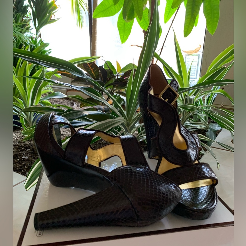 COACH IVANAH PYTHON/NUBUCK CHESTNUT BROWN SIZE 8M NEW IN BOX - Picture 11 of 16